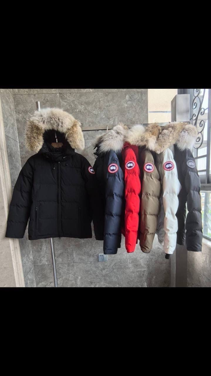 Multi-colour Goose jacket