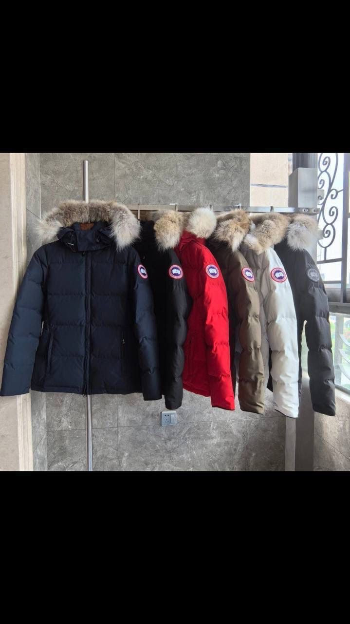 Multi-colour Goose jacket